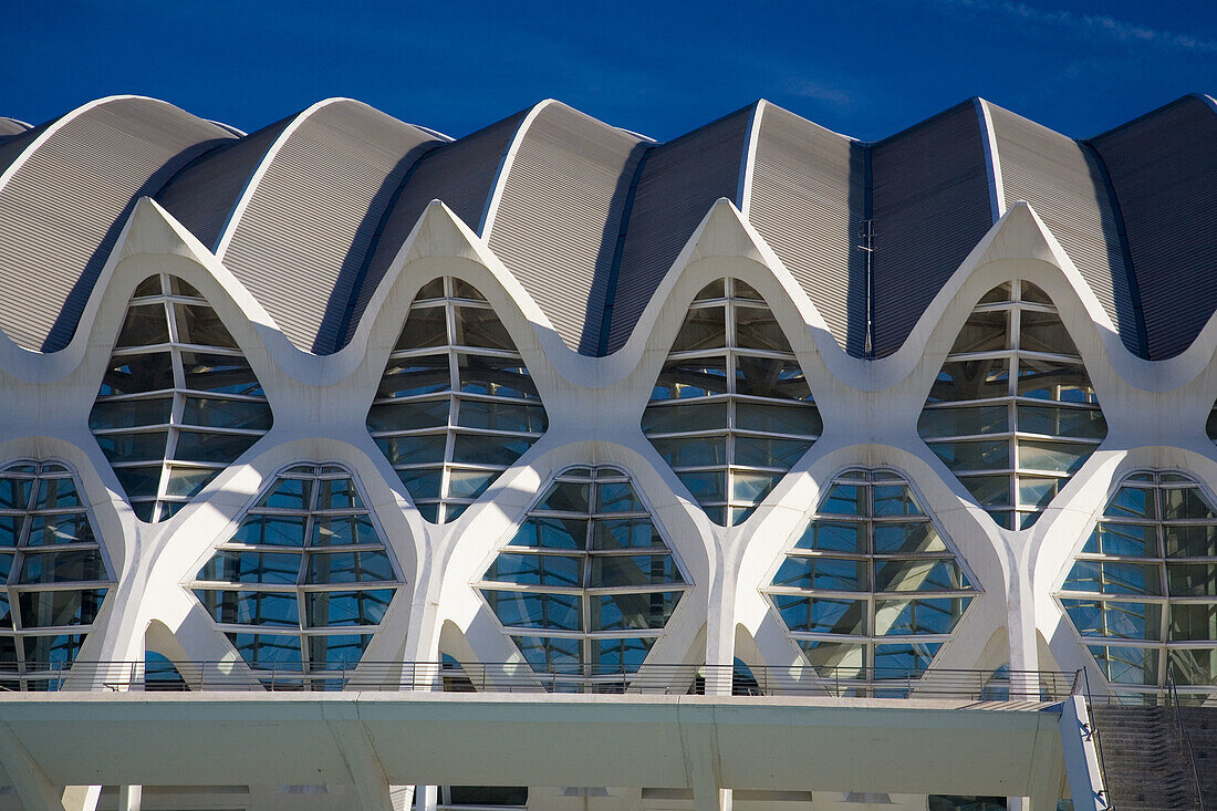 Museum of Science Príncipe Felipe, City of Arts and Sciences by S. Calatrava. Valencia. Comunidad Valenciana, Spain