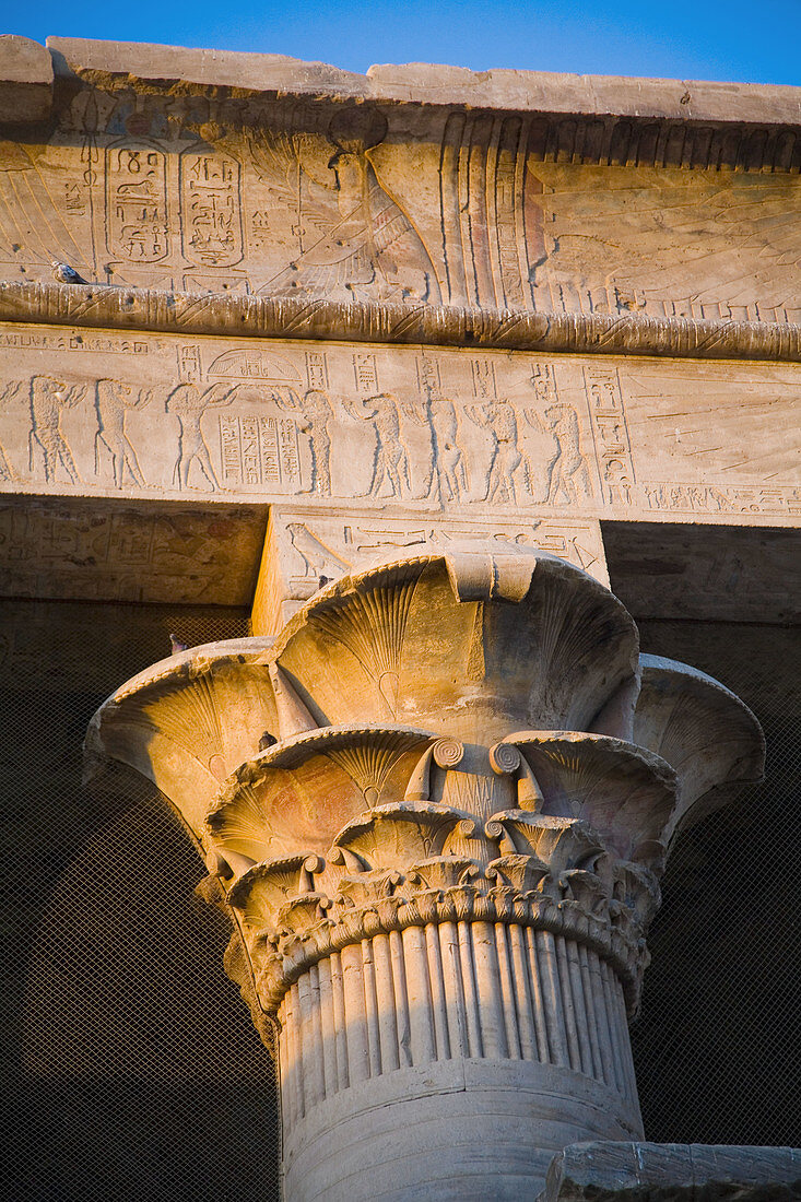 Detail of column. Temple of Horus at dusk. Edfu. Egypt.