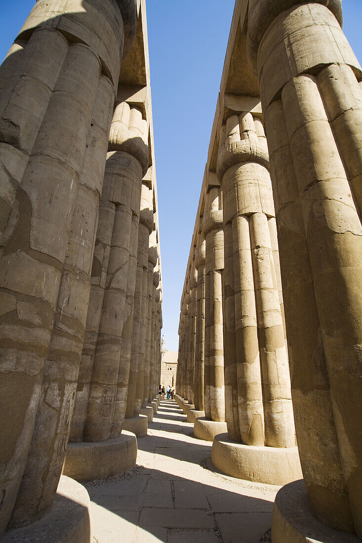 Columns. Temple of Luxor (ancient egyptian city of Thebes). Luxor. Egypt.