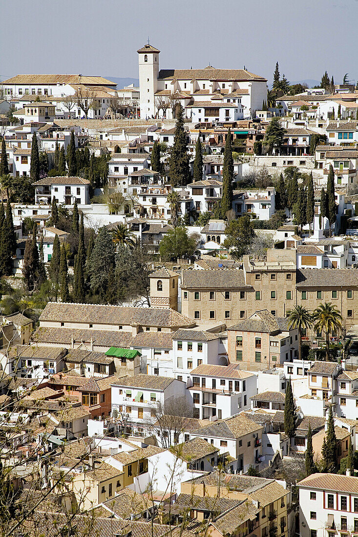 Aerial view of the Albayzín from Alhambra. Granada. Andalusia. Spain