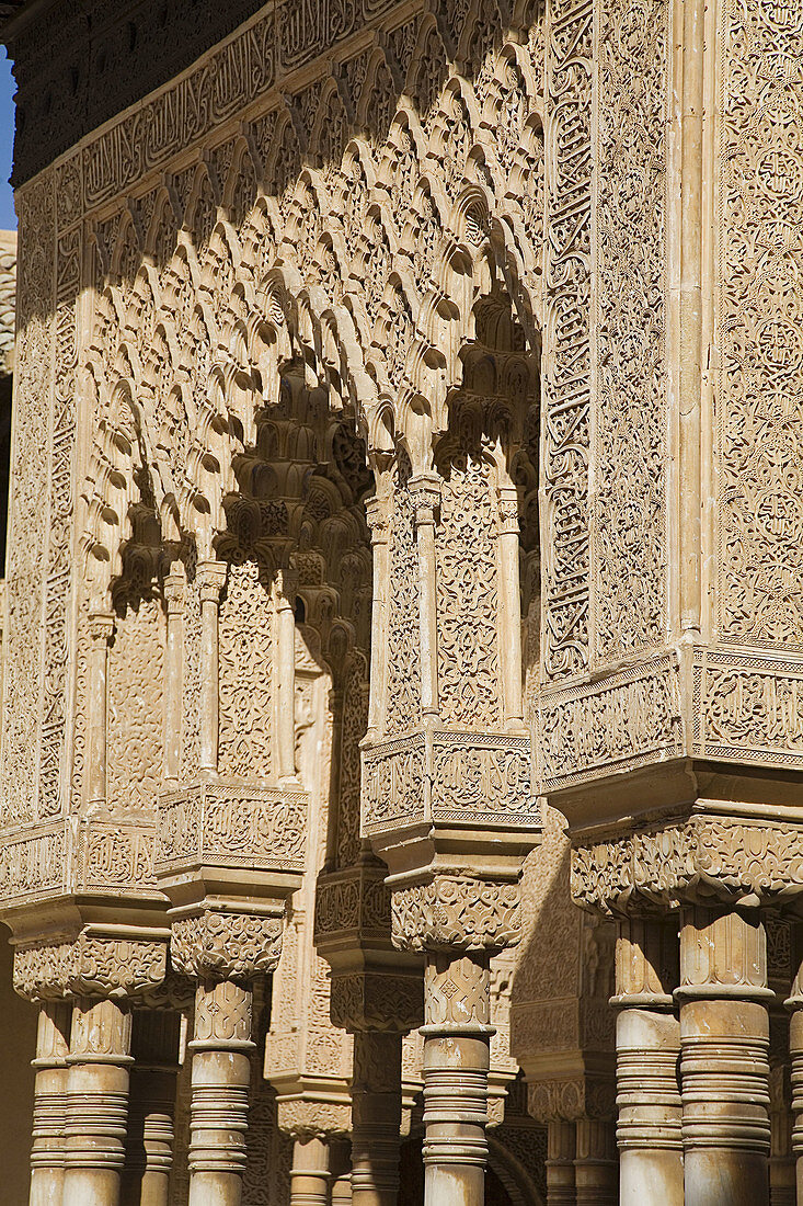 Details of the Courtyard of the Lions, Alhambra. Granada. Andalusia. Spain