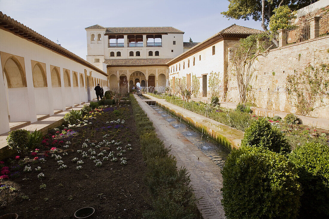 Generalife palace and gardens, Alhambra. Granada. Andalusia. Spain