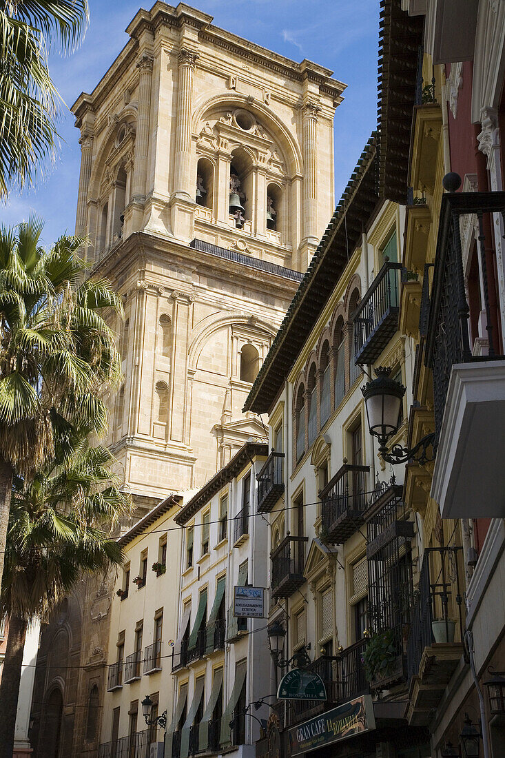 Cathedral tower from Romanilla Square. Granada. Andalusia. Spain