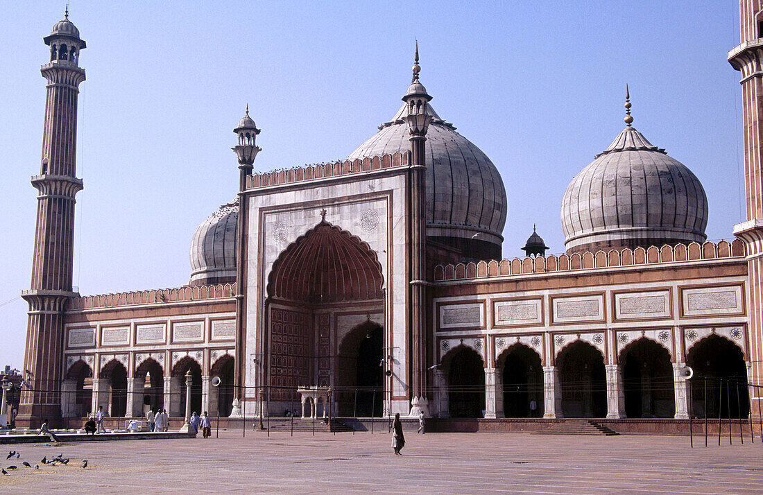 Jama Masjid Mosque, largest Mosque in India. Old Delhi. Uttar Pradesh. India.