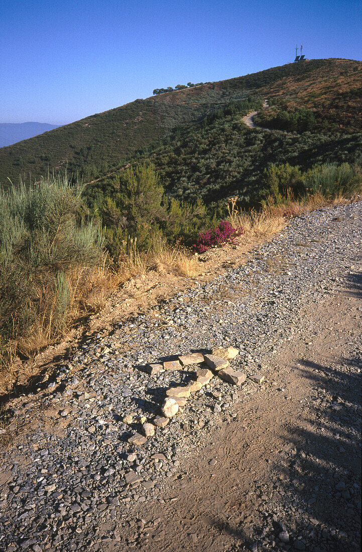 Monte del Real on the Road to Santiago, Spain