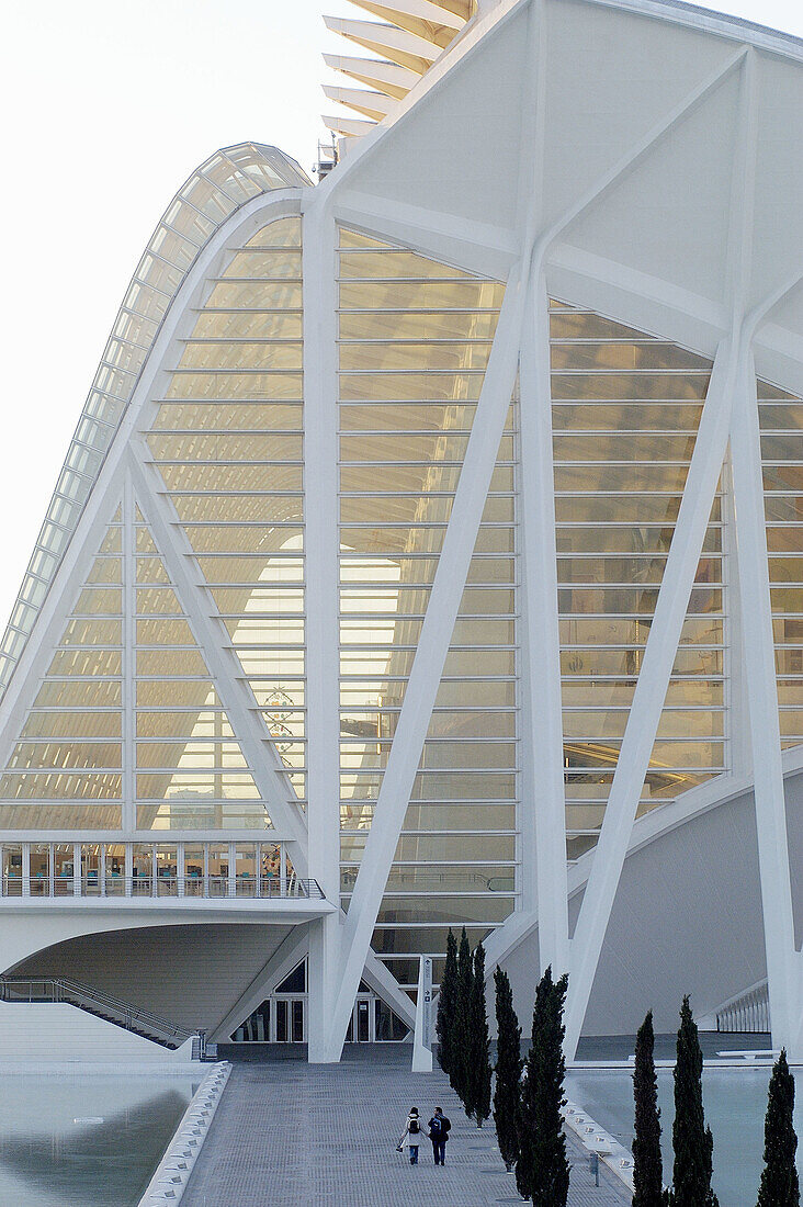 Príncipe Felipe museum of sciences, City of Arts and Sciences, by S. Calatrava. Valencia. Spain