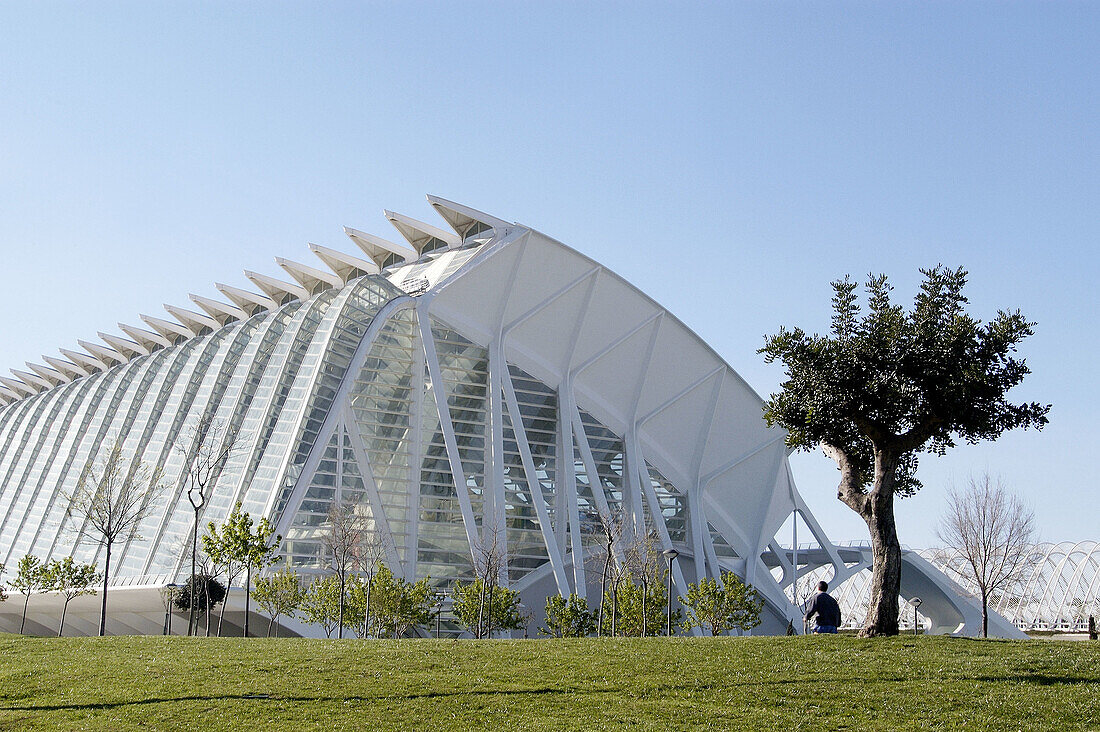 Príncipe Felipe museum of sciences, City of Arts and Sciences, by S. Calatrava. Valencia. Spain