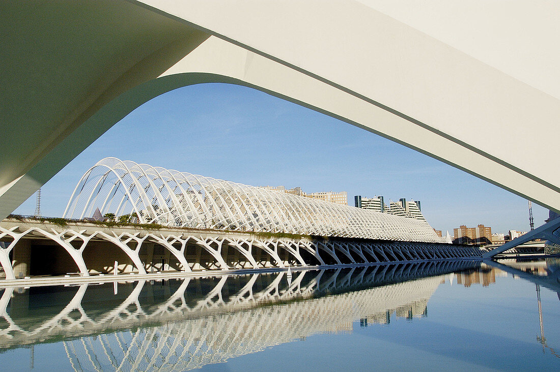 Umbracle, City of Arts and Sciences, by S. Calatrava. Valencia. Spain