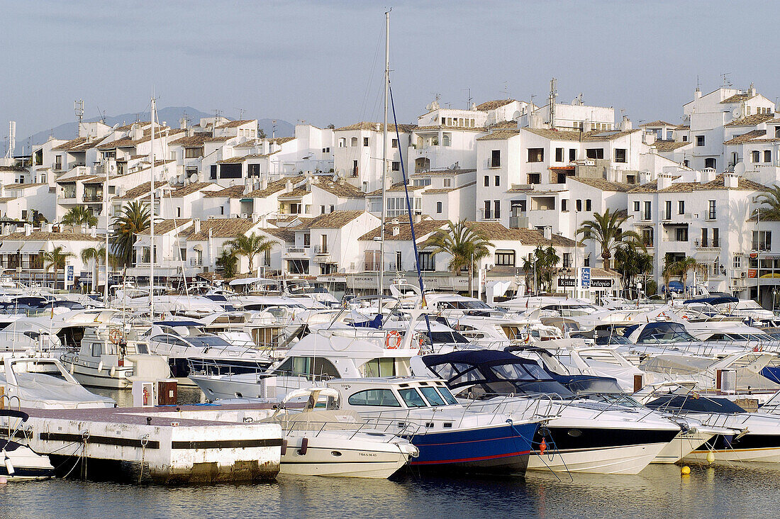 Puerto Banús, Marbella. Costa del Sol, Málaga province. Spain