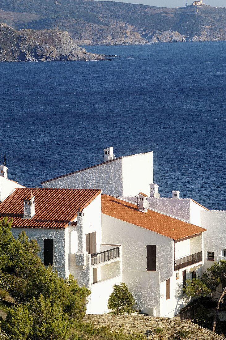 Banyuls sur Mer. Côte Vermeille. Pyrénées-Orientales. Languedoc-Roussillon, France