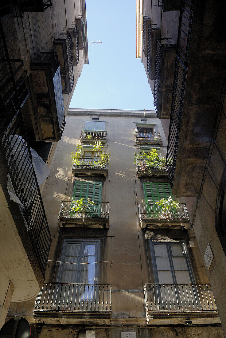 Gothic quarter, Barcelona, Spain