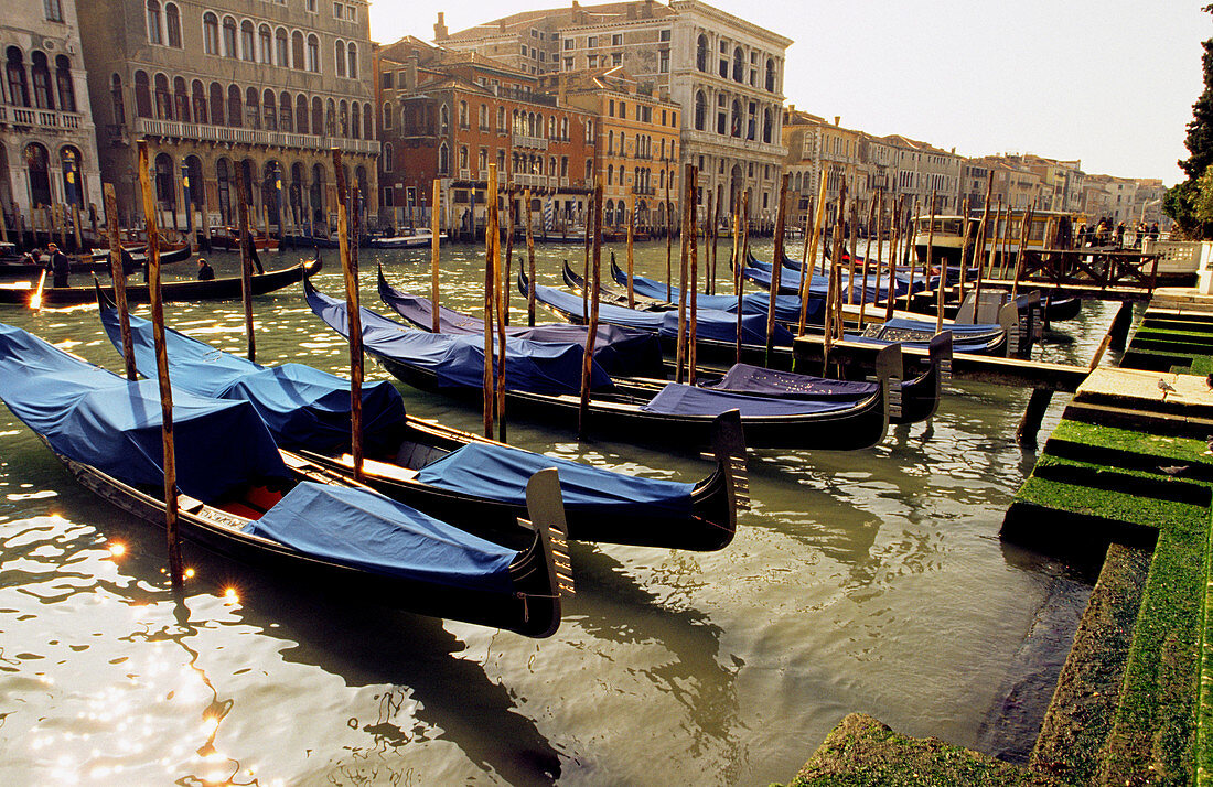 Rows of gondolas moored on the Grand Canal. Venice. Italy.
