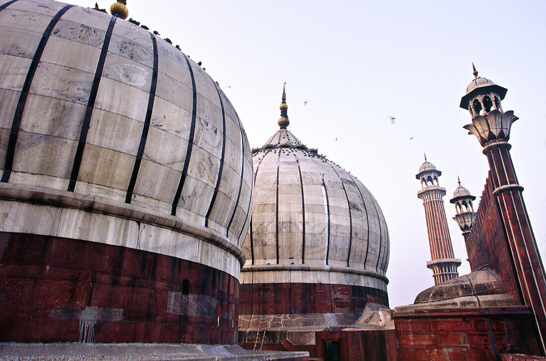 Jama Masjid Muslim style of architecture standing on 260 pillars supporting 15 domes New Delhi, India, Asia