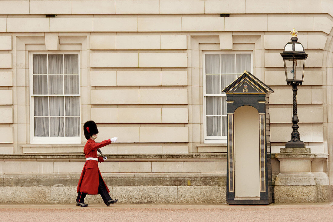 Guard marches back and forth from his station at Buckingham Palace, London.