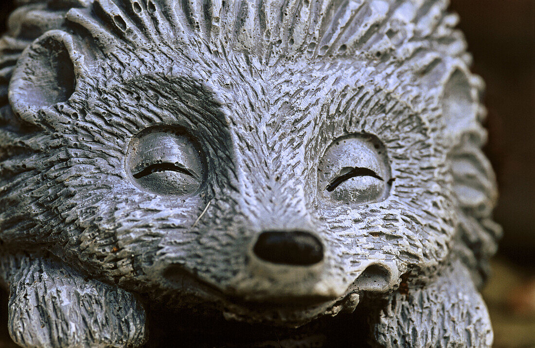 Model hedgehog foot brush, close-up to face, in garden. Buckinghamshire, England, UK