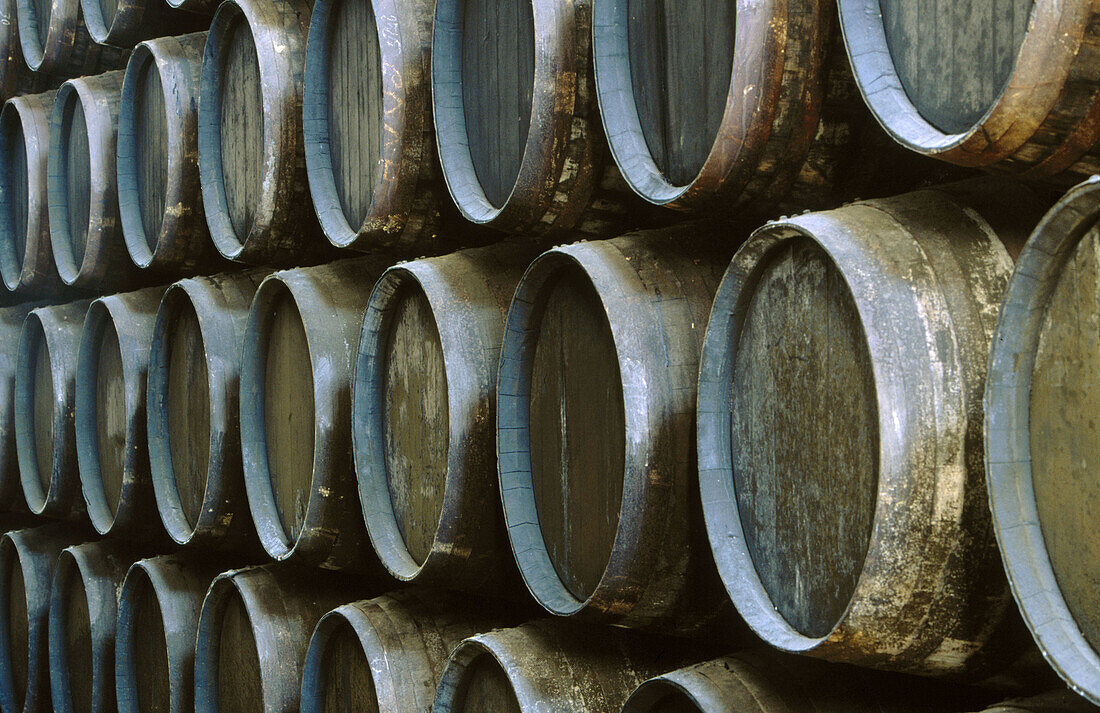 Lustau sherry barrels in winery cellar. Jerez de la Frontera. Cádiz province, Spain