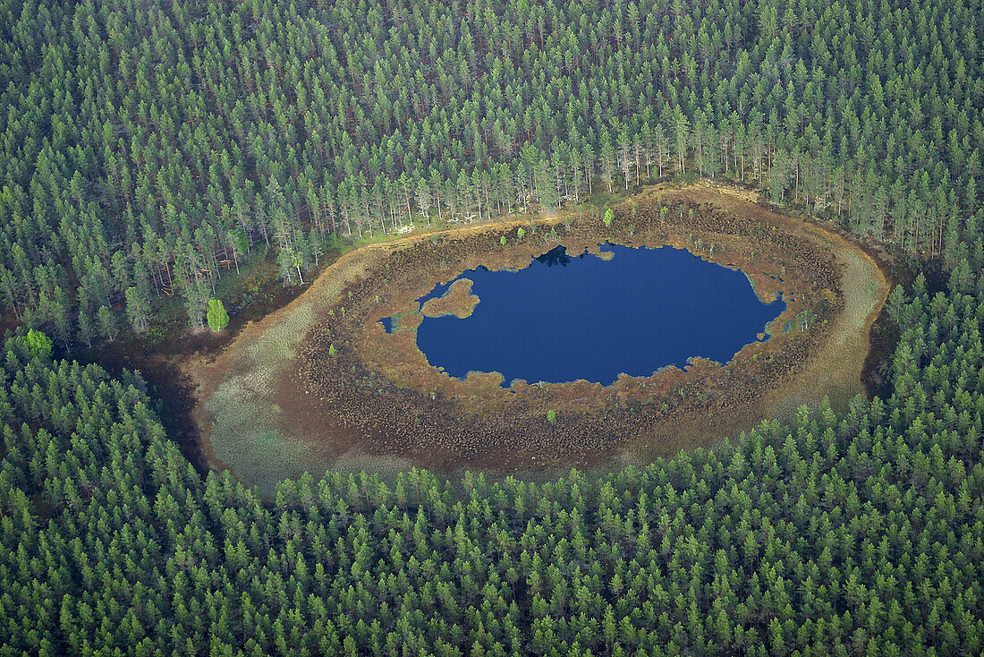 Small lake in the forest area. Hultsfred. Småland. Sweden