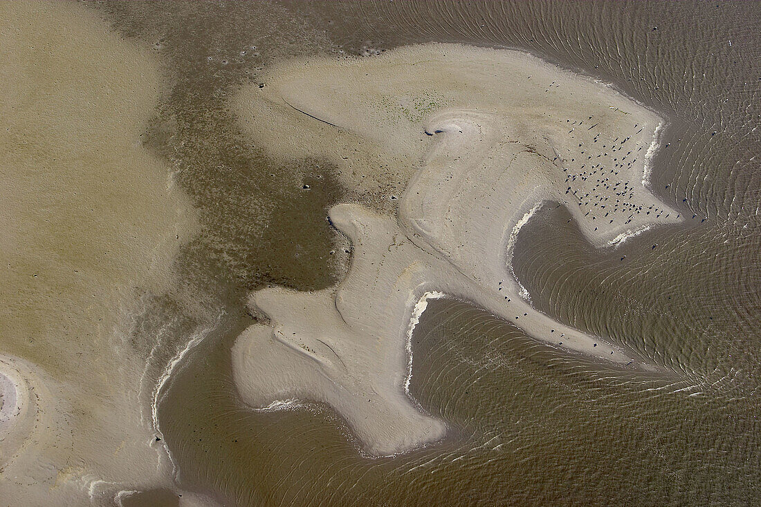 Sand seashore. Båstad. Skåne. Sweden