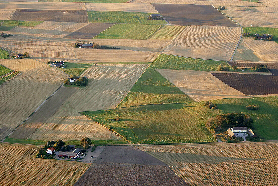 Agricultural field landscape. Skåne. Sweden