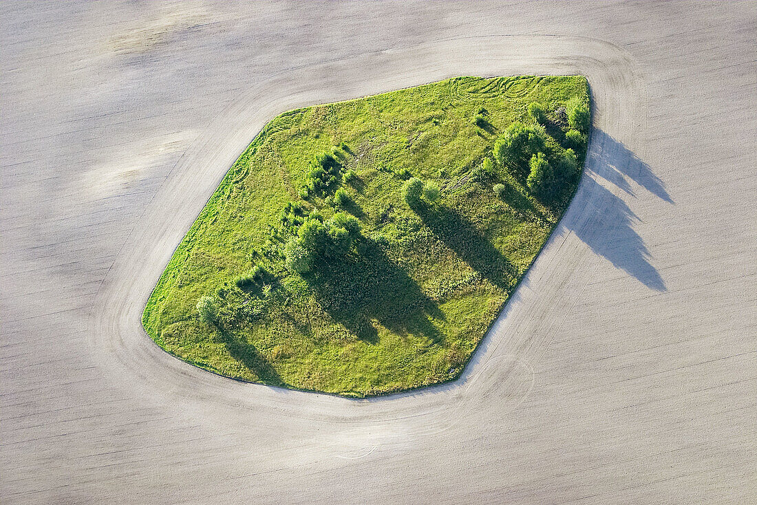 Agricultural landscape, green island in field. Säffle Värmland Sweden