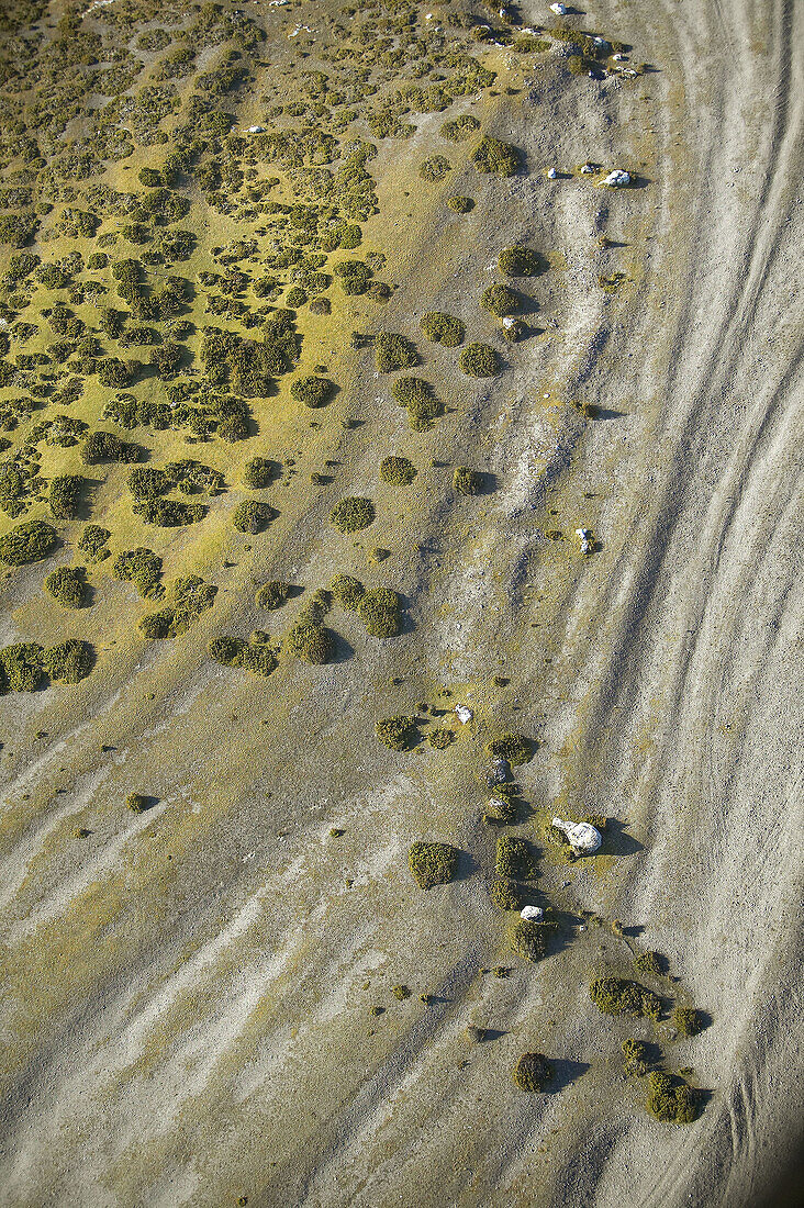 Old coastlines, bush. aerial view. Fårö. Gotland. Sweden.