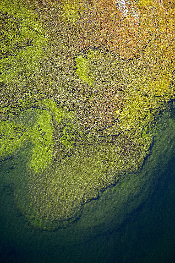 On the sea bottom, colours, seashore, aerial view. Gotland. Sweden.