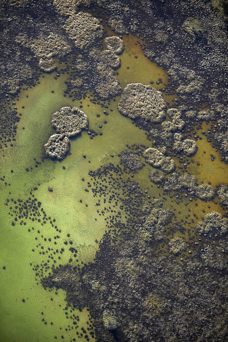 Grass formations in lake, aerial view. Gotland. Sweden.