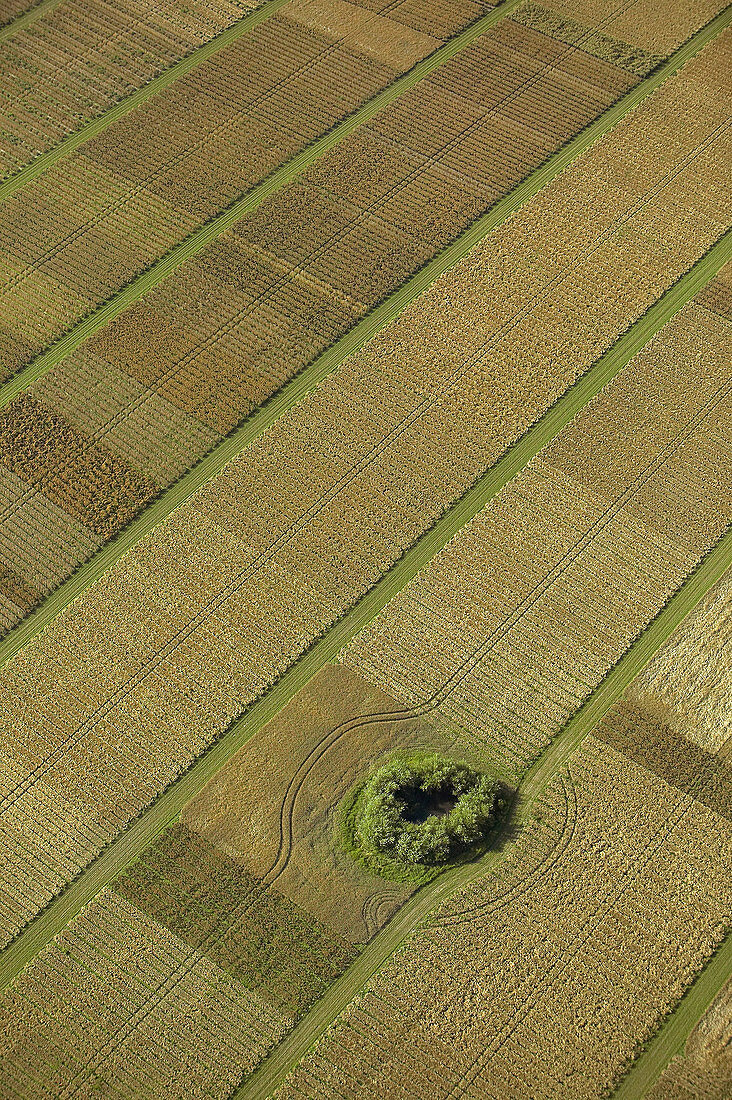 Agricultural test area, aerial view. Skåne. Sweden.