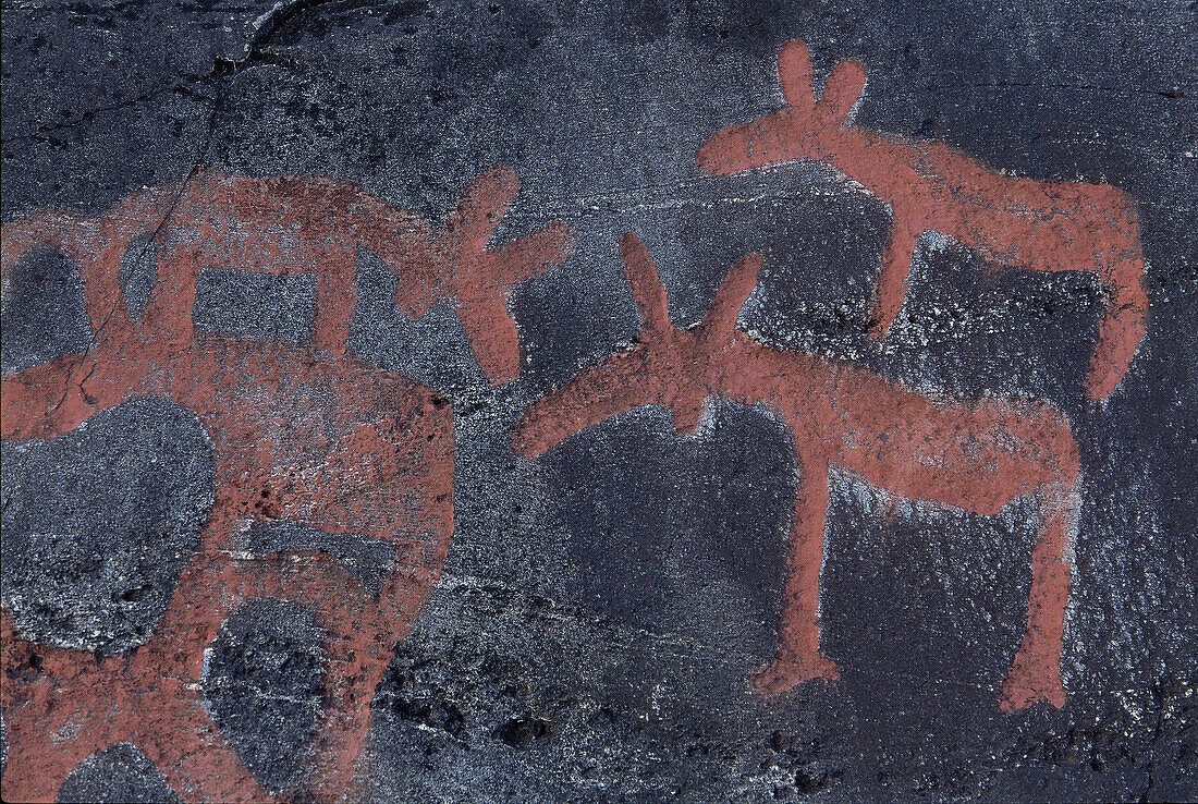 3000 years old rock carving, moose, Hälsingland, Sweden