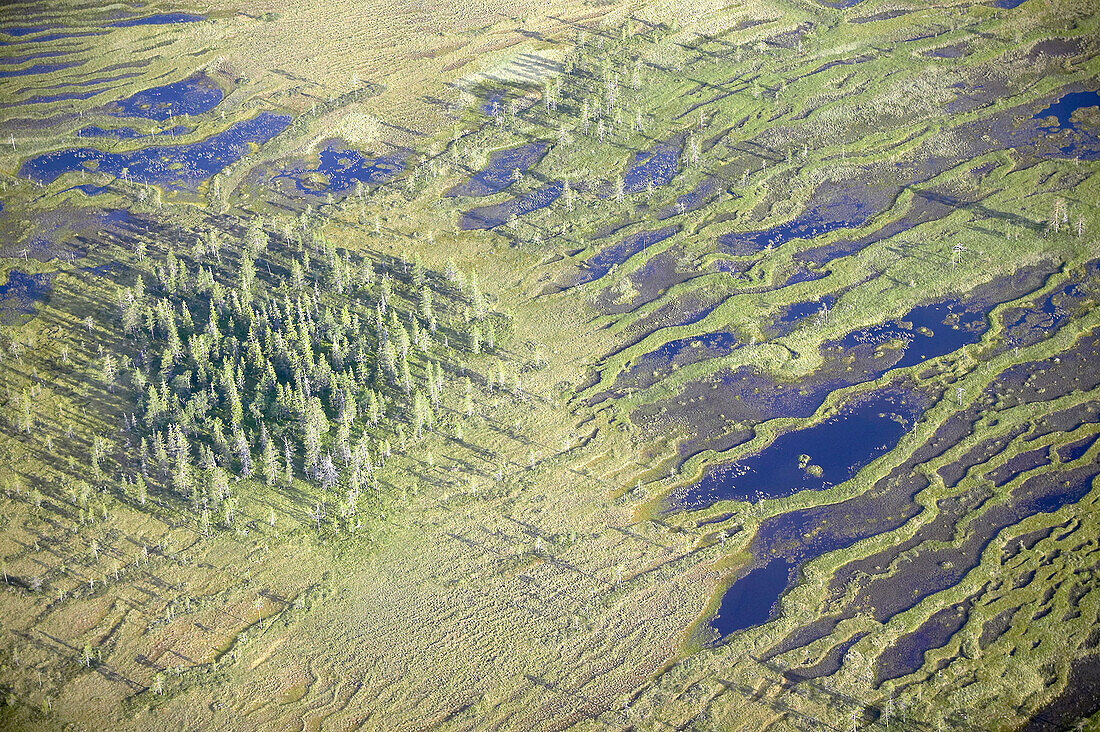 Forest and  wetland area, aerial view. Jämtland, Sweden.