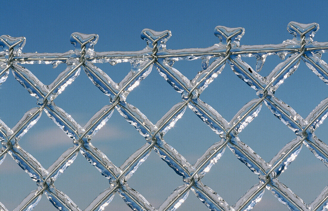 Chainlink fence, Chainlink fences, Close up, Close-up, Closeup, Cold, Coldness, Color, Colour, Daytime, Detail, Details, Exterior, Fence, Fences, Frost, Frosted, Frozen, Geometry, Hoarfrost, Horizontal, Morning, Mornings, Outdoor, Outdoors, Outside, Patte