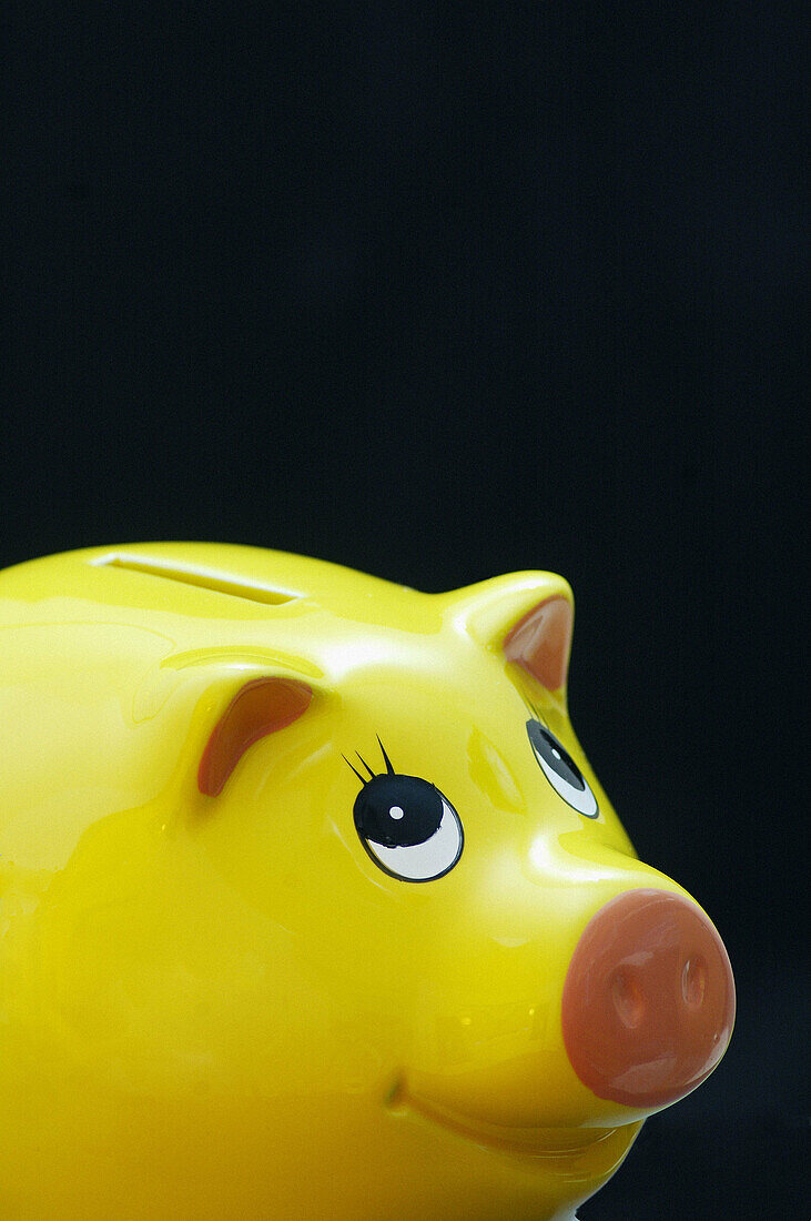 Yellow piggy bank