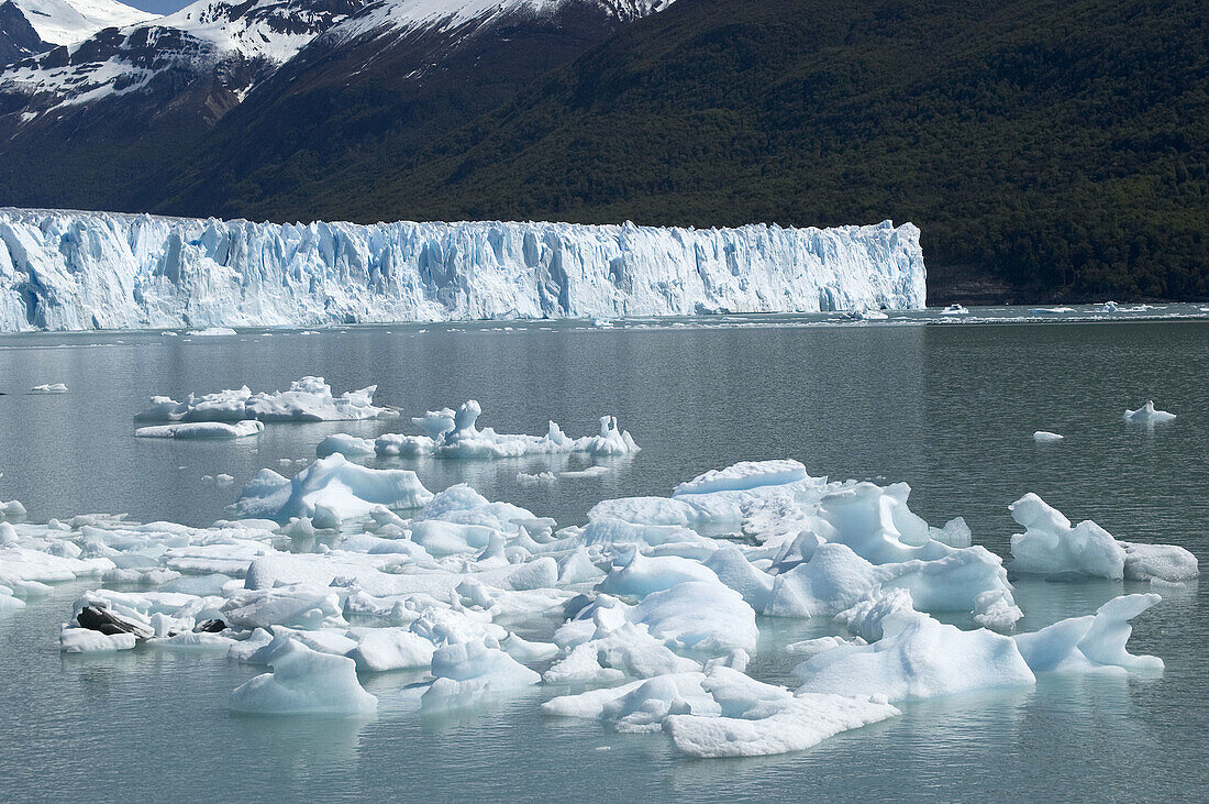 Perito Moreno glacier, Los Glaciares National Park. Santa Cruz province, Argentina