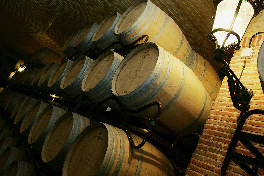 Wine casks in a celler lightened by a lampost. Cuenca province. Spain.