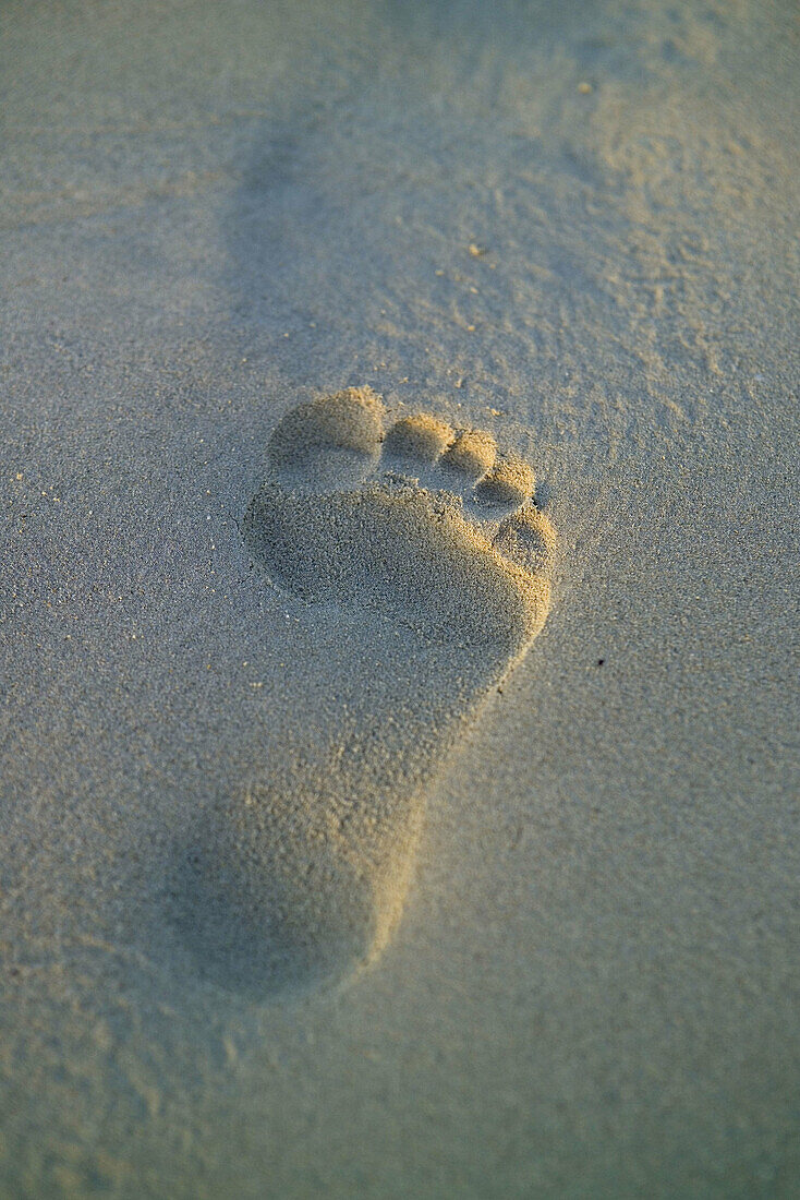 Beach, Beaches, Close up, Close-up, Closeup, Color, Colour, Concept, Concepts, Daytime, Ephemeral, Exterior, Footprint, Footprints, Outdoor, Outdoors, Outside, Sand, Shape, Shapes, Surface, Surfaces, Trace, Traces, N09-475552, agefotostock