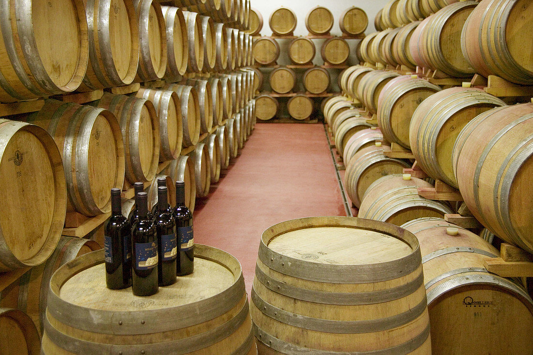 Donnafugata winery cellars, Marsala. Sicily, Italy