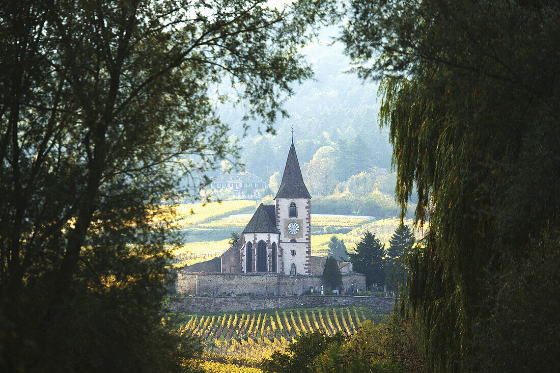 Hunawihr. Alsace, France