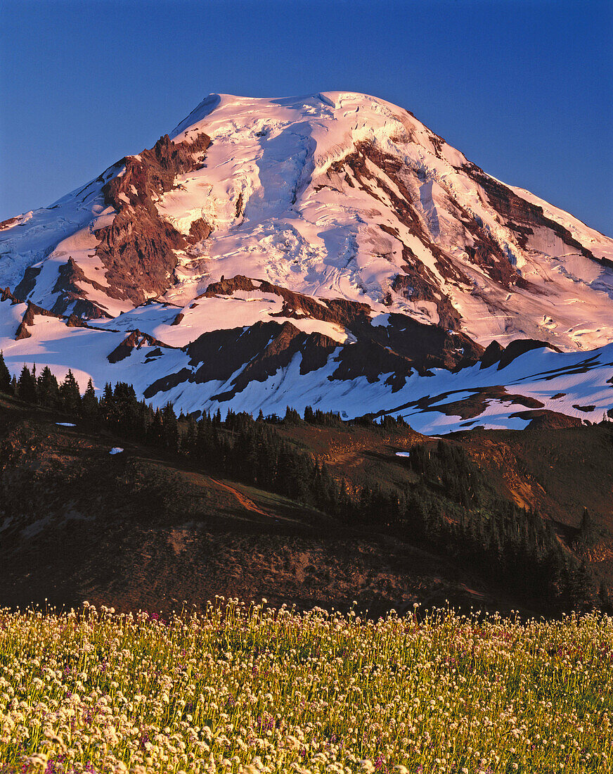 America, Cold, Coldness, Color, Colour, Deserted, Exterior, Grassland, Grasslands, Landscape, Landscapes, Meadow, Meadows, Mount Baker, Mountain, Mountains, Nature, North America, Northwest USA, Outdoor, Outdoors, Outside, Pacific Northwest USA, Scenic, S