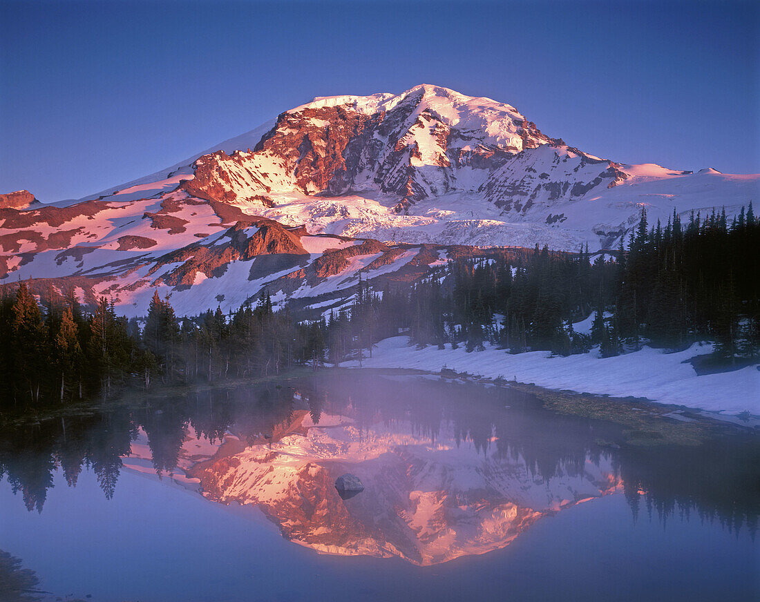 Mt. Rainier reflected in alpine tarn. Mt. Rainier National Park. Washington. USA