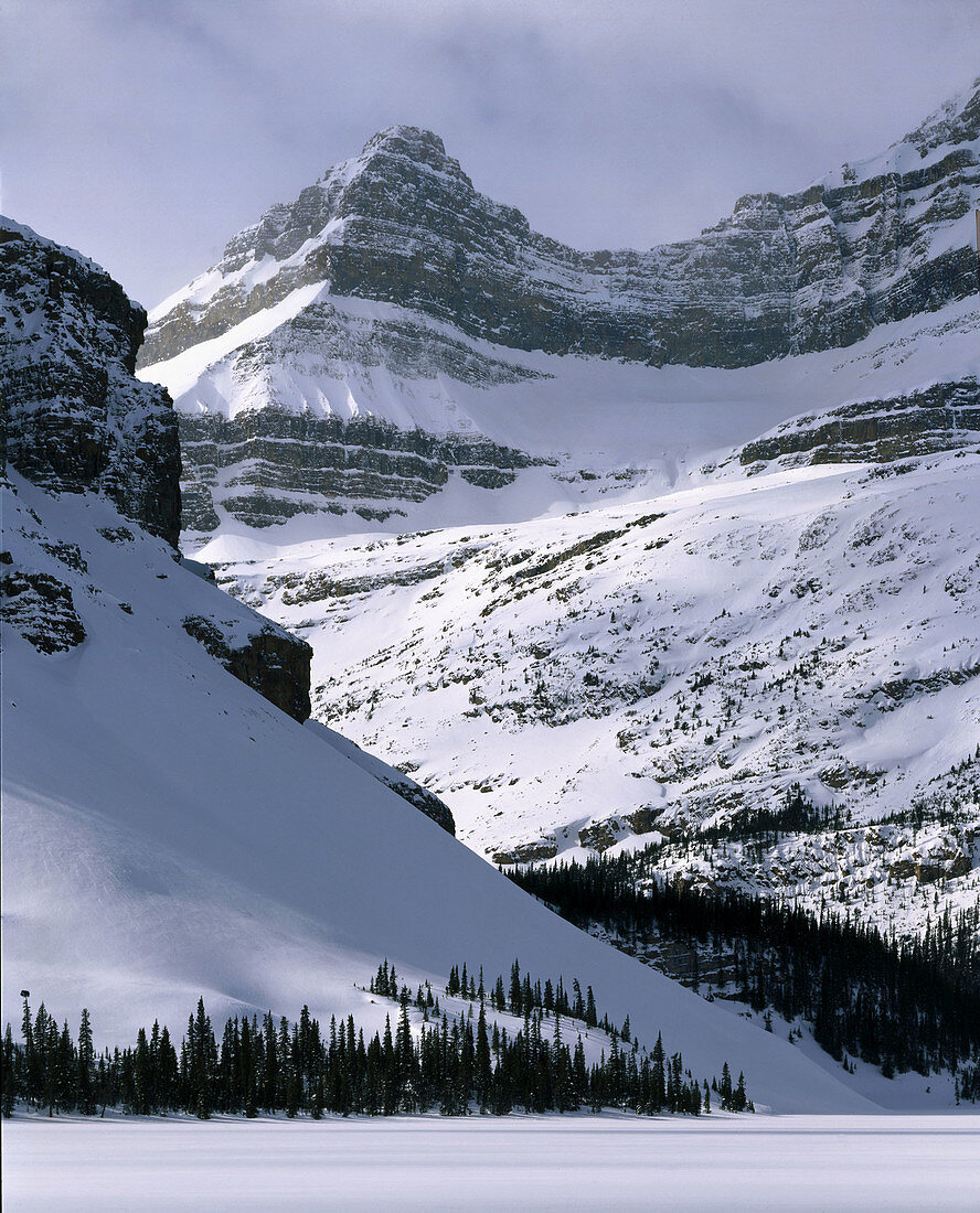 Winter from Bow Lake. Banff National Park. Alberta. Canada