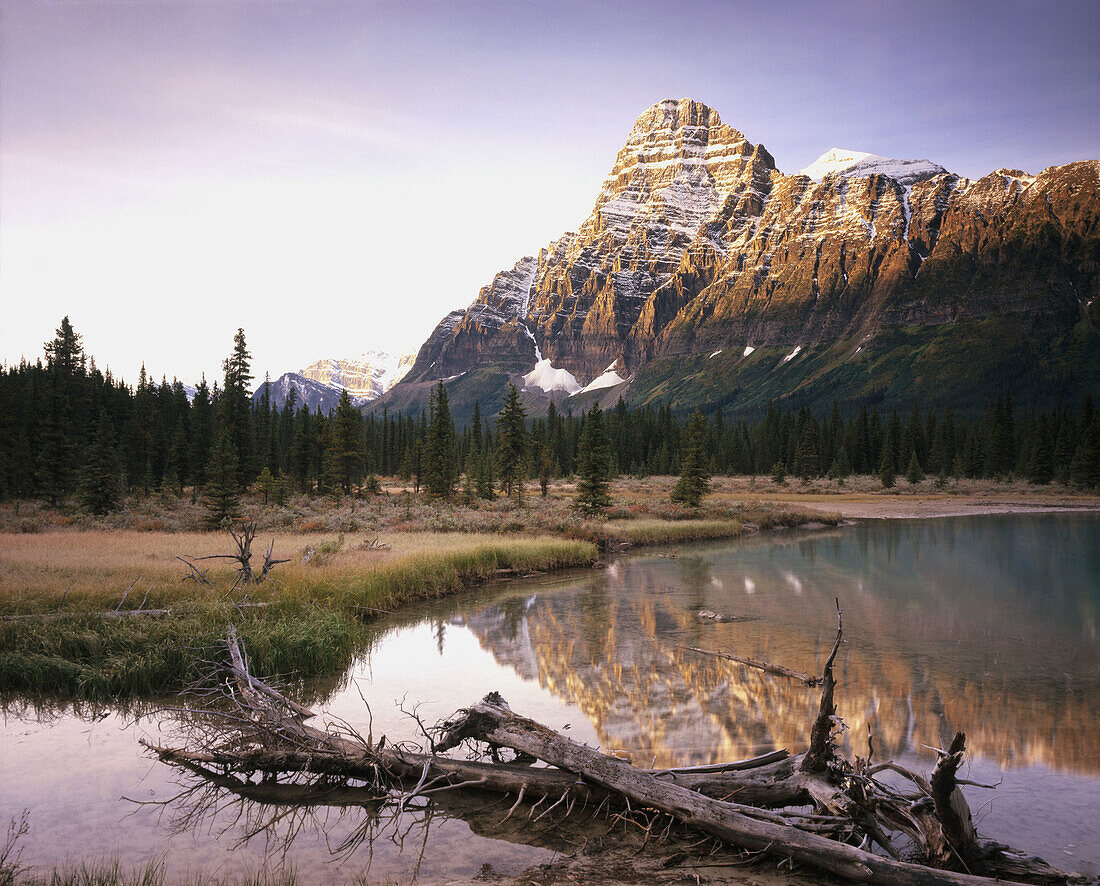 Autumn dawn on Mount Chephren and Mistaya River. Banff National Park. Alberta, Canada