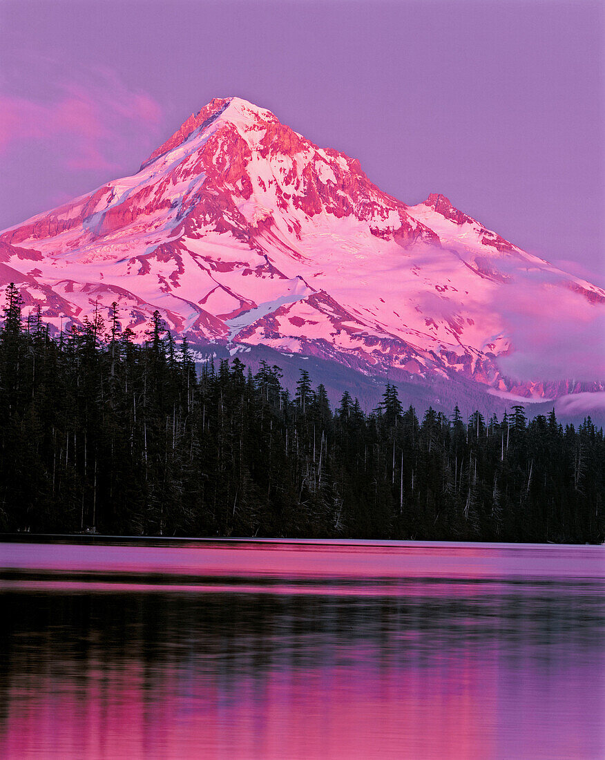Afterglow on Mount Hood above Lost Lake. Mount Hood National Forest. Oregon. USA