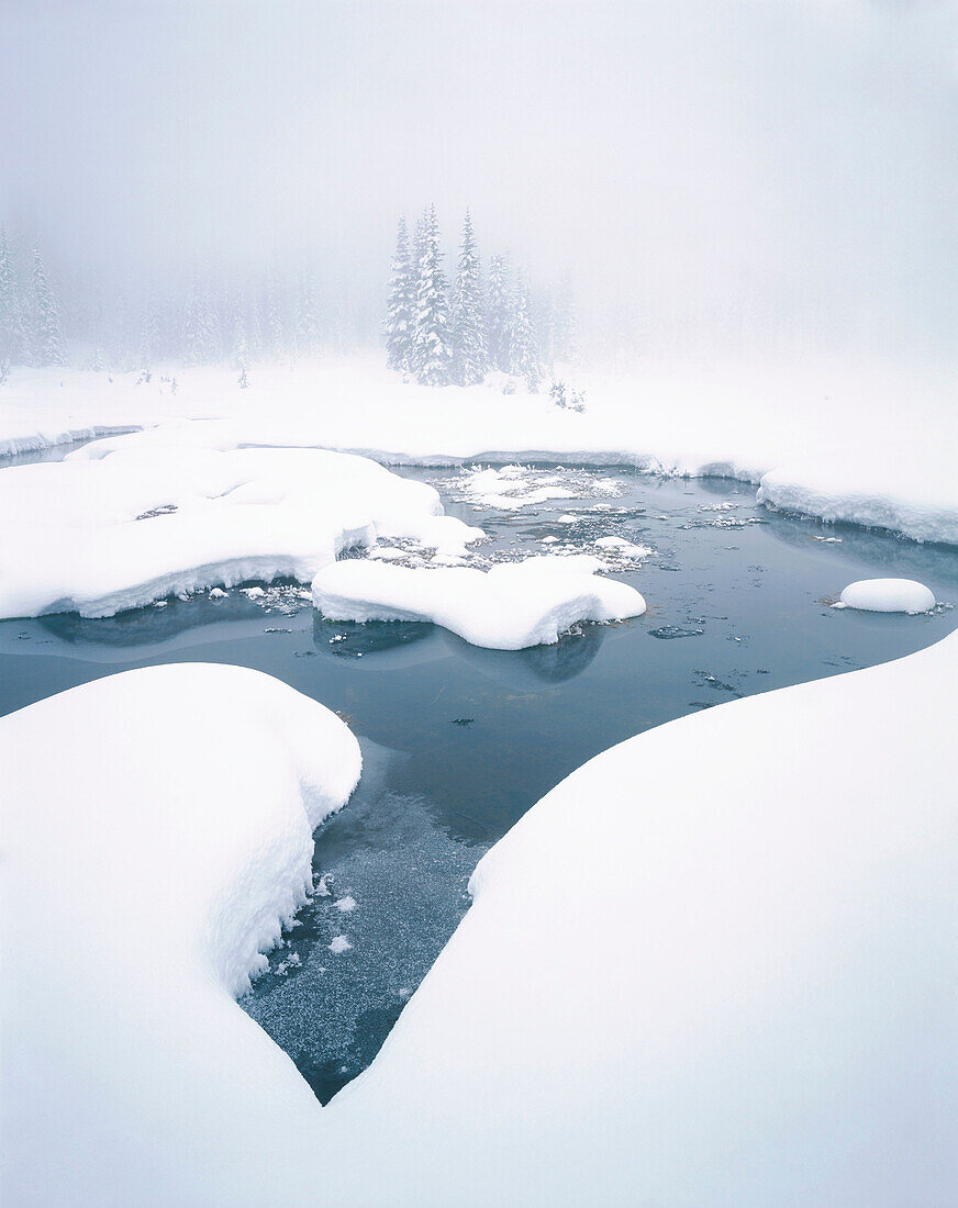 Winter, State Creek North Cascades. Washington. USA.