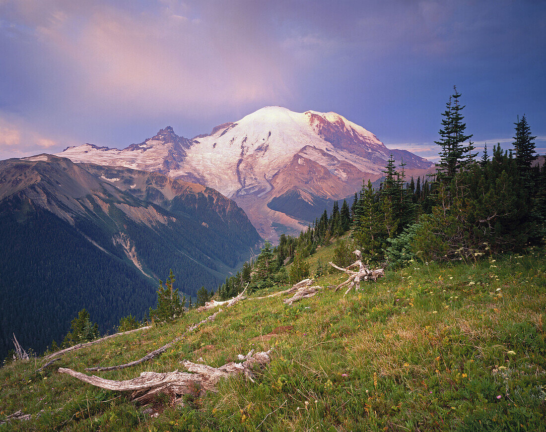 Sunrise on Mount Rainier. Mount Rainier National Park. Washington. USA.