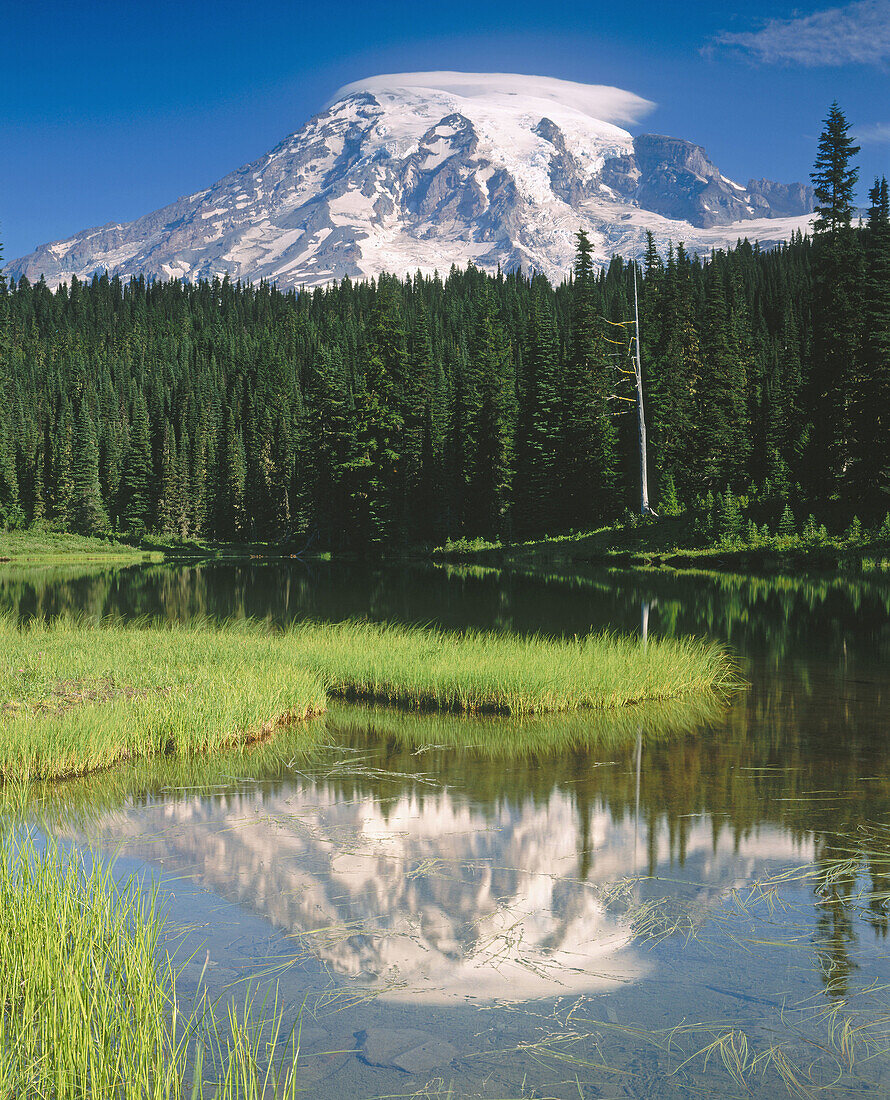 Mount Rainier from Reflection Lake. Mount Rainier National Park. Washington. USA.