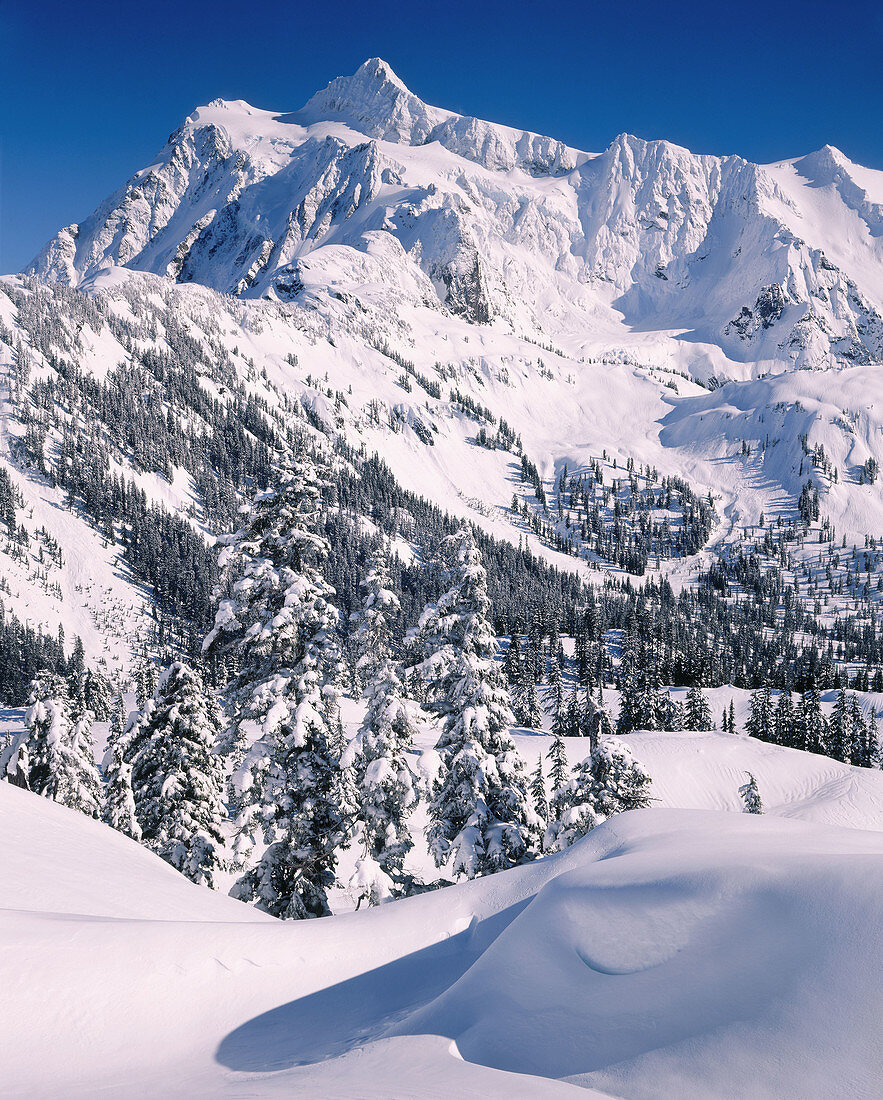 Mount Shuksan in winter from Kulshan Ridge. North Cascades National Park. Washington. USA.