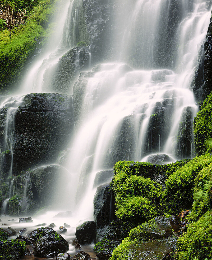 Fairy Falls. Columbia River Gorge National Scenic Area. Oregon. USA.