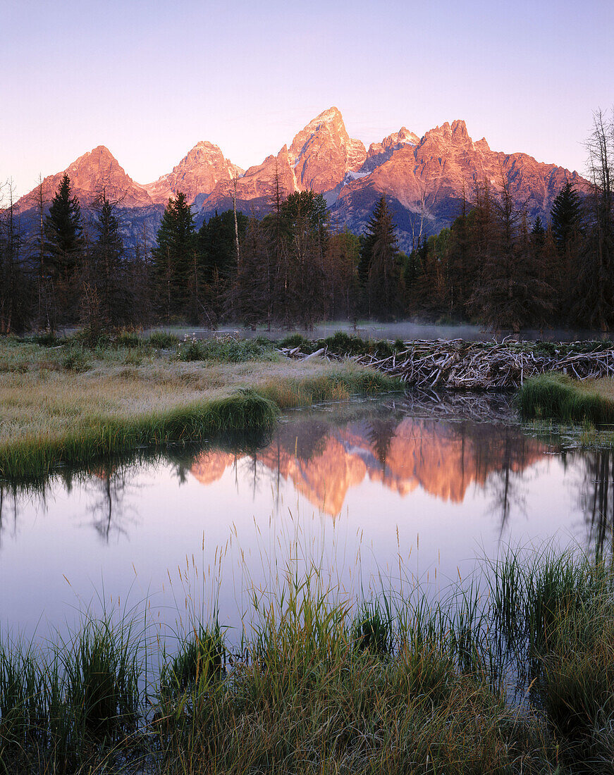 Dawn over the Teton Range from Beaver Pond along the Snake river. Grand Teton National Park. Wyoming. USA.