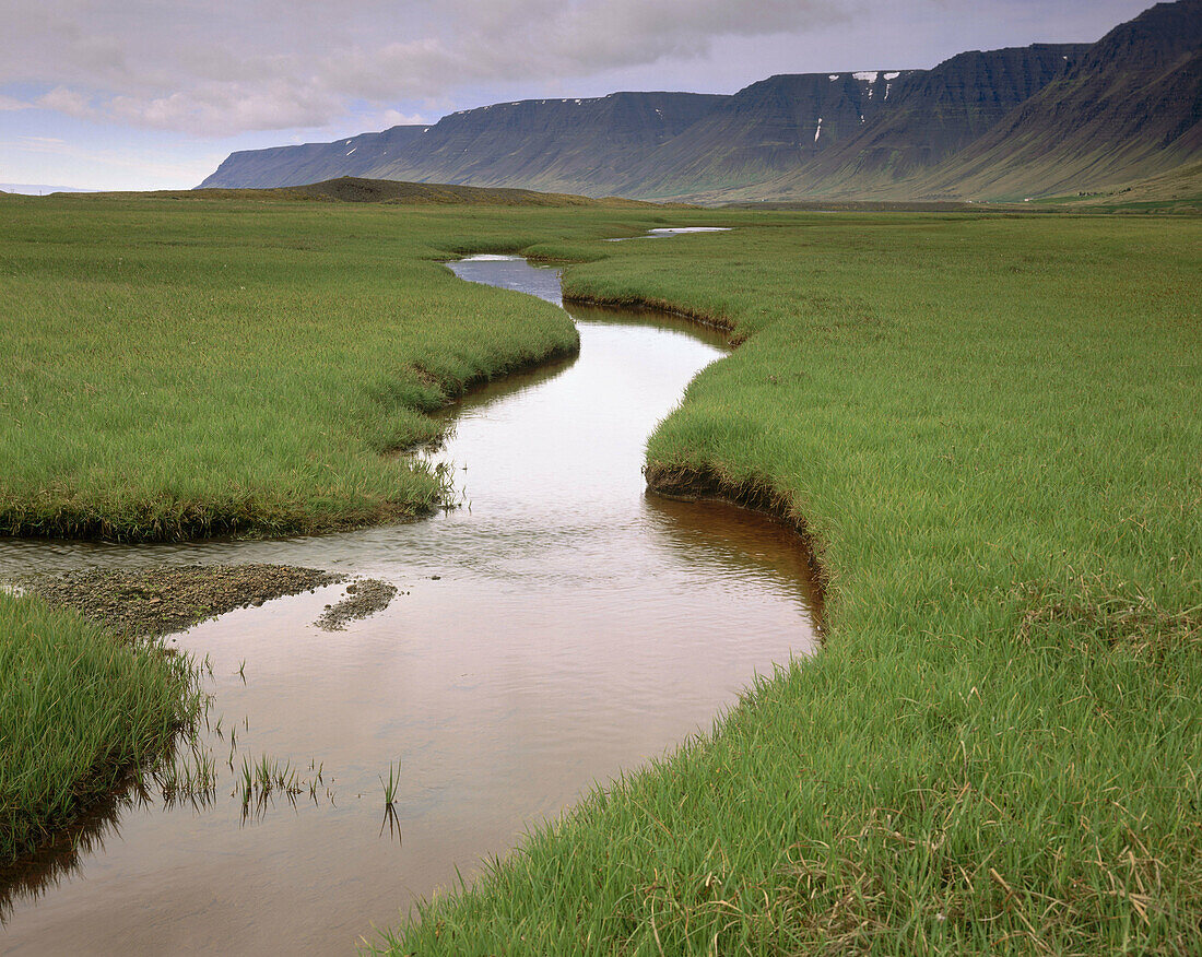 Water beading up on carpets of moss in the glama moors of the West fjords. Iceland