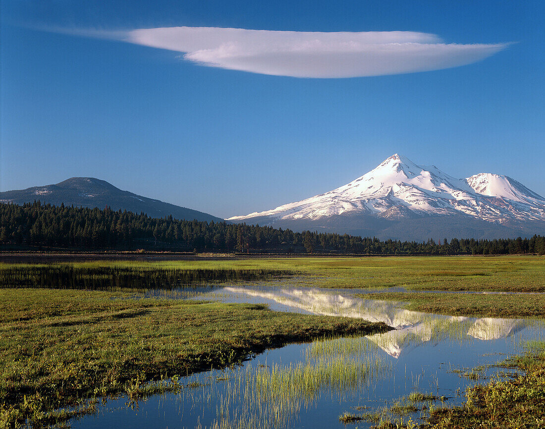 Mount Shasta from Grassy Lake, Klamath National Forest.California. USA.